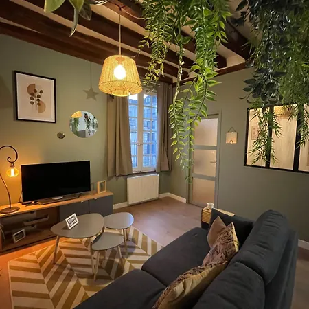 Apartament Ecrin De Loire - Coeur De Calme & Confortable Saumur